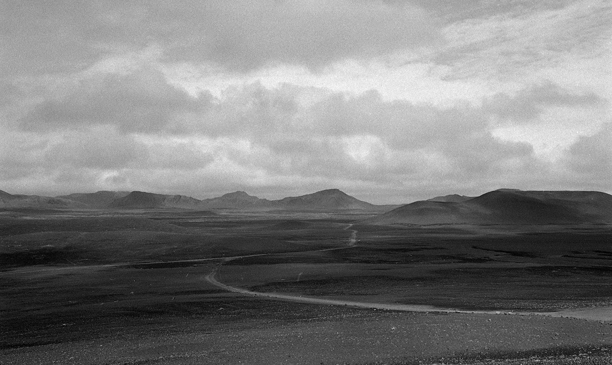 Vue d'un sous bois d'une forêt de hêtres en Auvergne