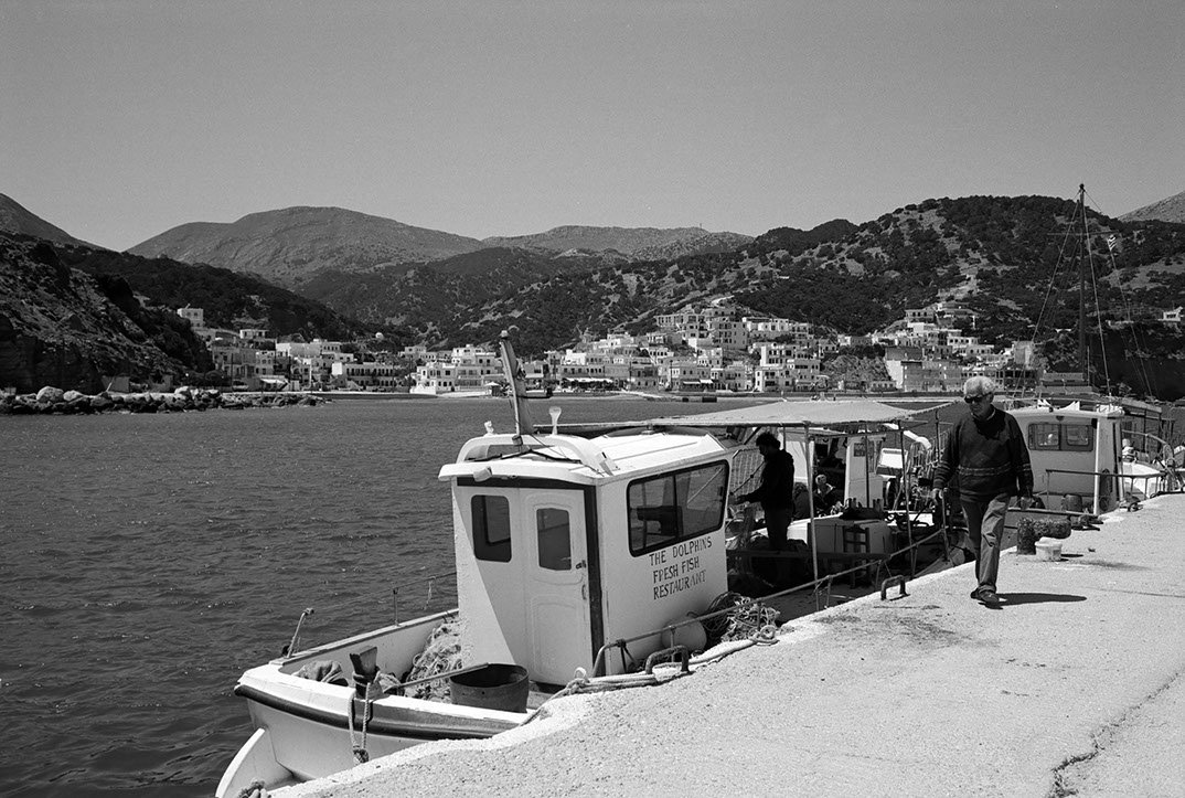 Vue d'un sous bois d'une forêt de hêtres en Auvergne