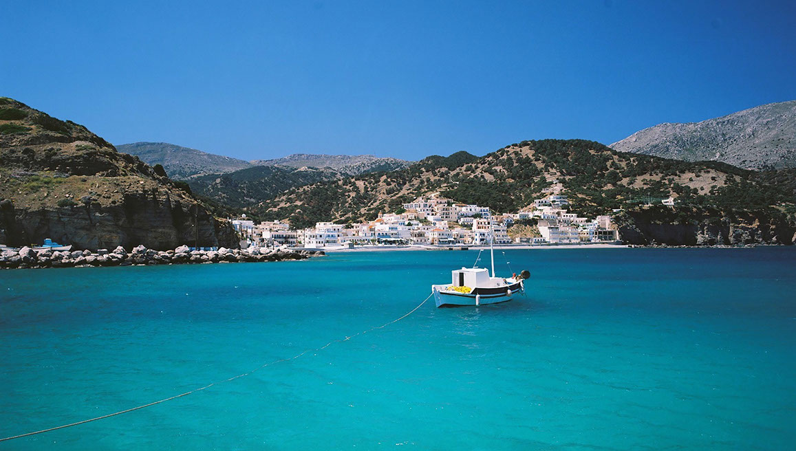 Vue d'un sous bois d'une forêt de hêtres en Auvergne