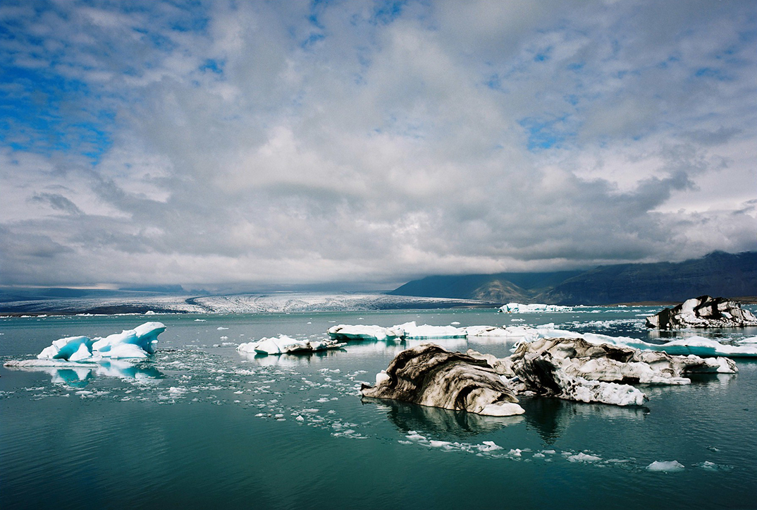 Vue d'un sous bois d'une forêt de hêtres en Auvergne