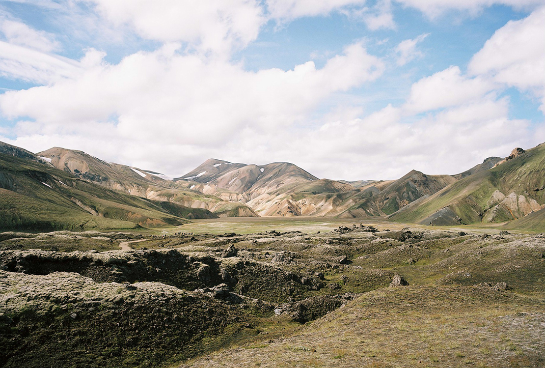 Vue d'un sous bois d'une forêt de hêtres en Auvergne