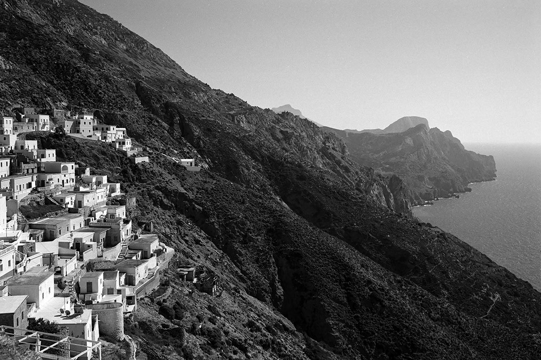 Vue d'un sous bois d'une forêt de hêtres en Auvergne