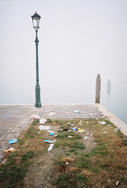 Vue d'un sous bois d'une forêt de hêtres en Auvergne