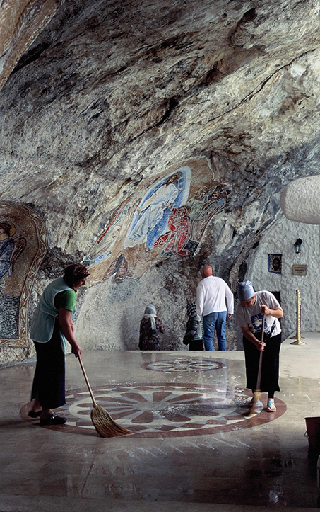 Vue d'un sous bois d'une forêt de hêtres en Auvergne