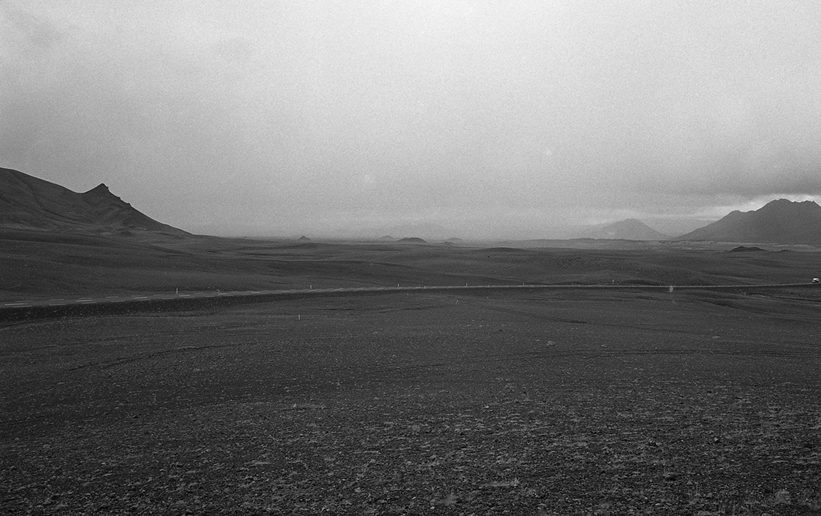 Vue d'un sous bois d'une forêt de hêtres en Auvergne