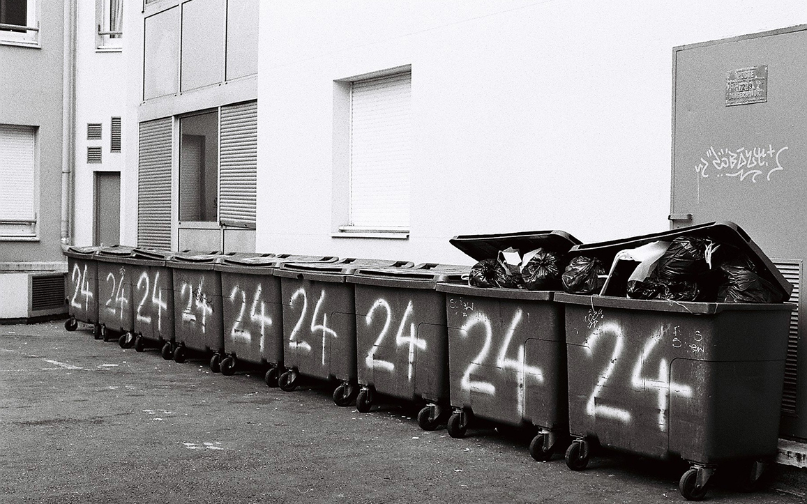 Vue d'une enfilade de 8 poubelles estampillées du numéro "24" au bas d'un immeuble lyonnais