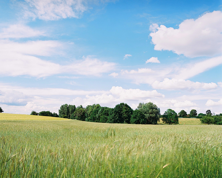 Vue d'un coin de verdure en plein Saint Genis Laval en banlieue lyonnaise